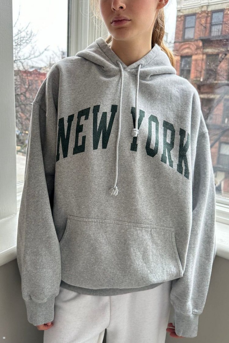 Sweat a Capuche Brandy Melville Christy New York Grise | WBS-10367361